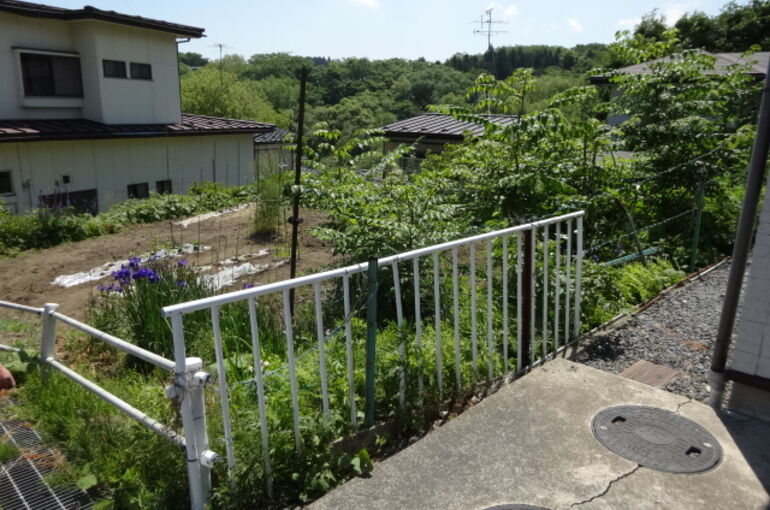 低い土地の写真