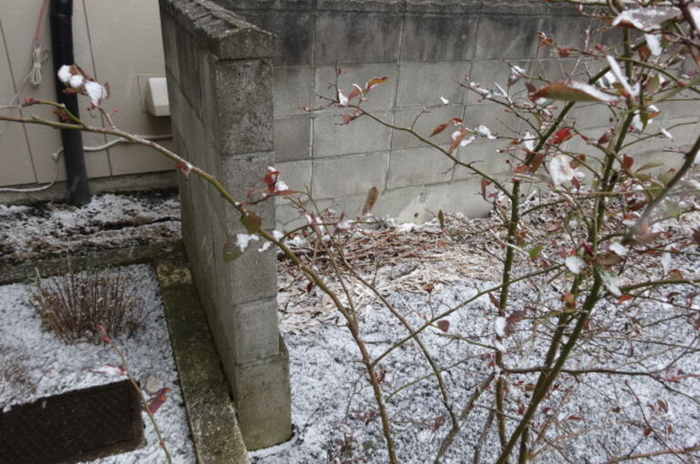 土地の写真