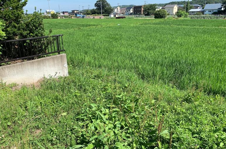 土地の写真