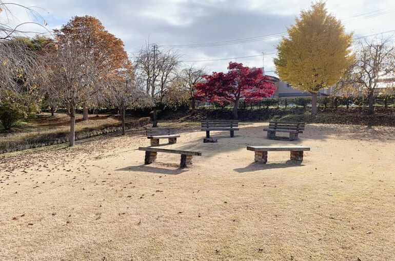 憩いの場
