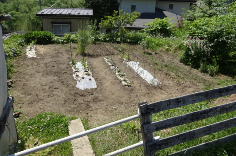 土地の写真