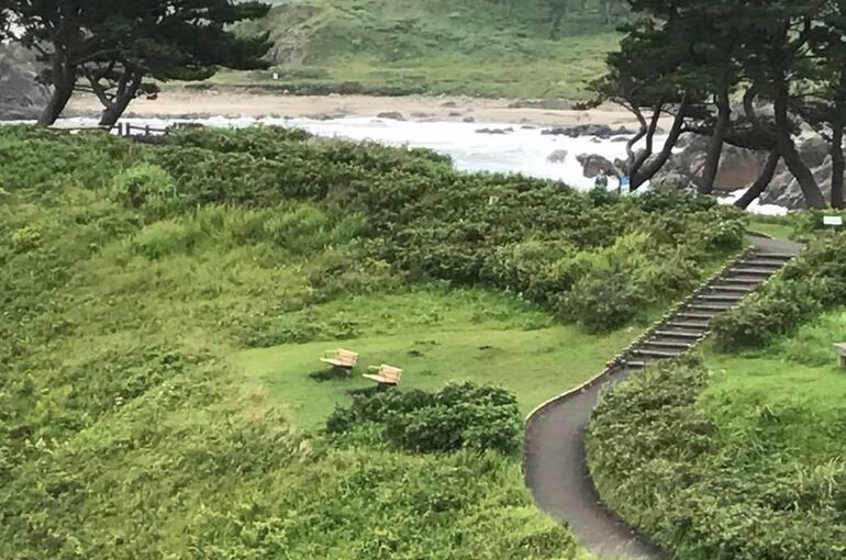 遊歩道の写真