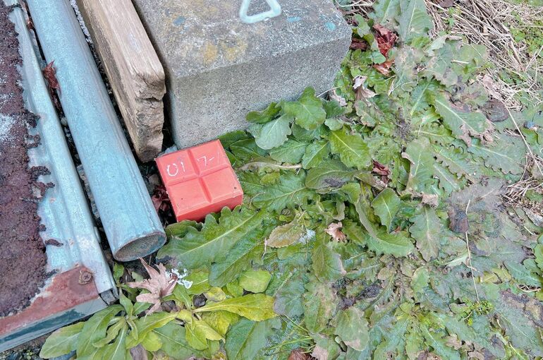 境界杭の写真