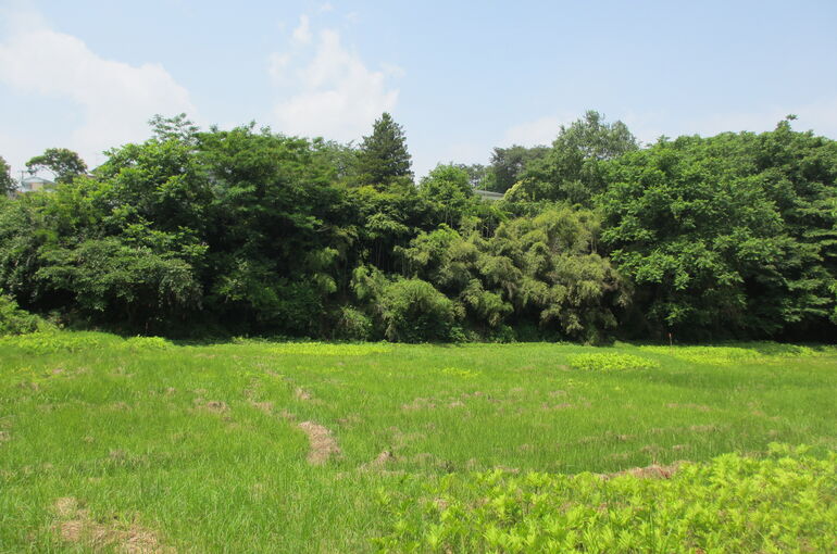 土地